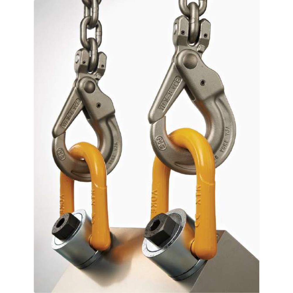 Yoke Swivel Hoist Ring ( Type 231 ) Metric Standard Length « GPS